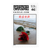 Rose on the Beach - STAMP stamps