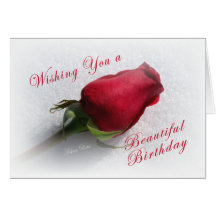 Rose on the Snow - personalize  the message Greeting Cards