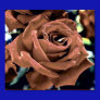 Rose Painting