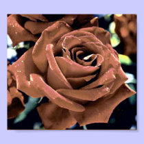 Rose Painting posters by lapatrick1161 Rose Painting posters