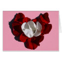 Rose Petal Heart Card by Gilliand_Photo Rose Petal Heart Card