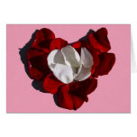 Rose Petal Heart Card