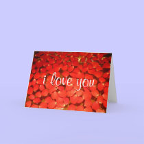 rose petal love cards by cardart rose petal love cards