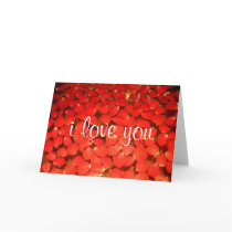 rose petal love cards