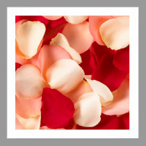 Rose Petal Poster with white border posters