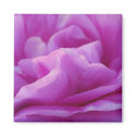 Rose Petals magnets