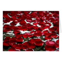 ROSE PETALS ON THE WATER cards