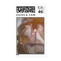 Rose Petals Wedding Postage Stamp
