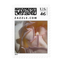 Rose Petals Wedding Small Postage Stamps