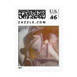 Rose Petals Wedding Small Postage Stamps