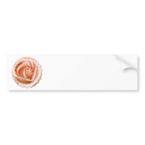 Rose Photo Bumper Sticker