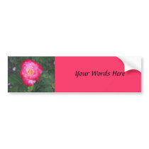 Rose photo bumper stickers by DonnaGrayson_Photos Rose photo bumper stickers