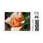 Rose Photo by Rosie Myers postage