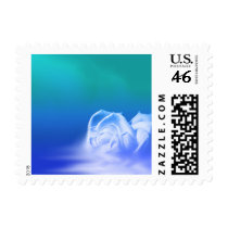Rose Photo Postage Small Stamp by TDSwhite Rose Photo Postage Small Stamp