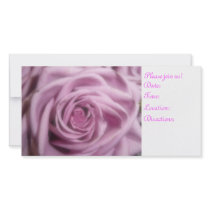 Rose photo cards