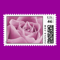 Rose Pink Rose Stamp