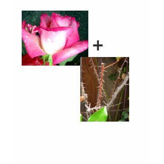 Rose Plus the Thorns shirt