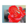 rose popping out of the picture, post card