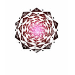 Rose Portal T Shirt