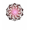 Rose Portal t-shirts