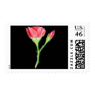 Rose stamp