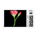 Rose postage