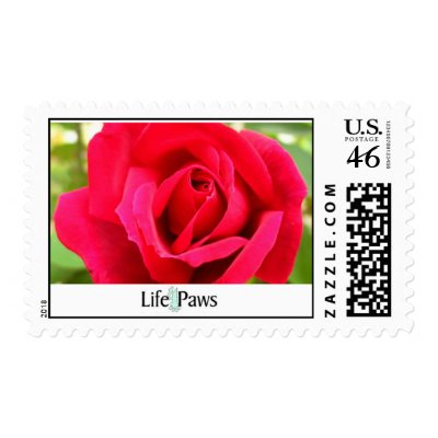 Rose Postage by life4paws