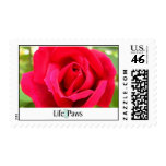 Rose Postage