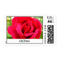 Rose Postage postage