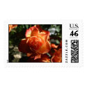 Rose postage by bkang22 Rose postage
