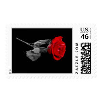 Rose Stamp