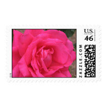 Rose Postage postage by squirrel27 Rose Postage postage