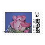 Rose Stamp