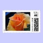Rose stamps
