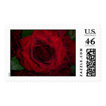 Rose postage