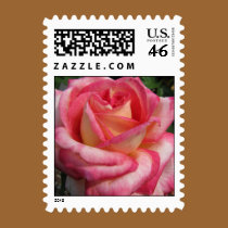 Rose postage