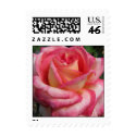Rose postage