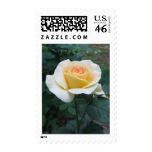 Rose Postage