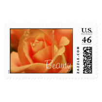 Rose Postage Stamp