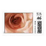 Rose Postage Stamps