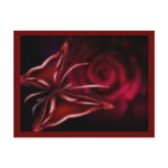rose postcard