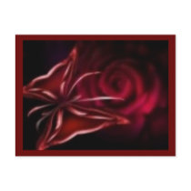 rose postcard