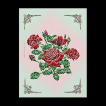 Rose Postcard postcards