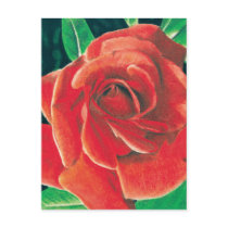 Rose Postcard by Jacob Grimm by JacobGrimm Rose Postcard by Jacob Grimm