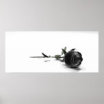 rose posters