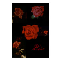 Rose posters