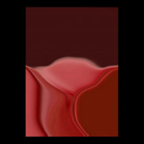 Rose posters