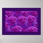 Rose Poster