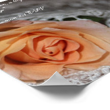 Rose Poster