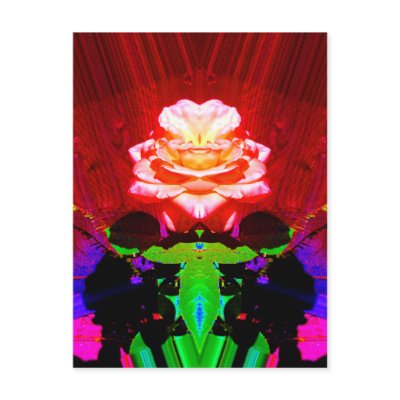 Rose Prayer Postcard by wingedturtle
